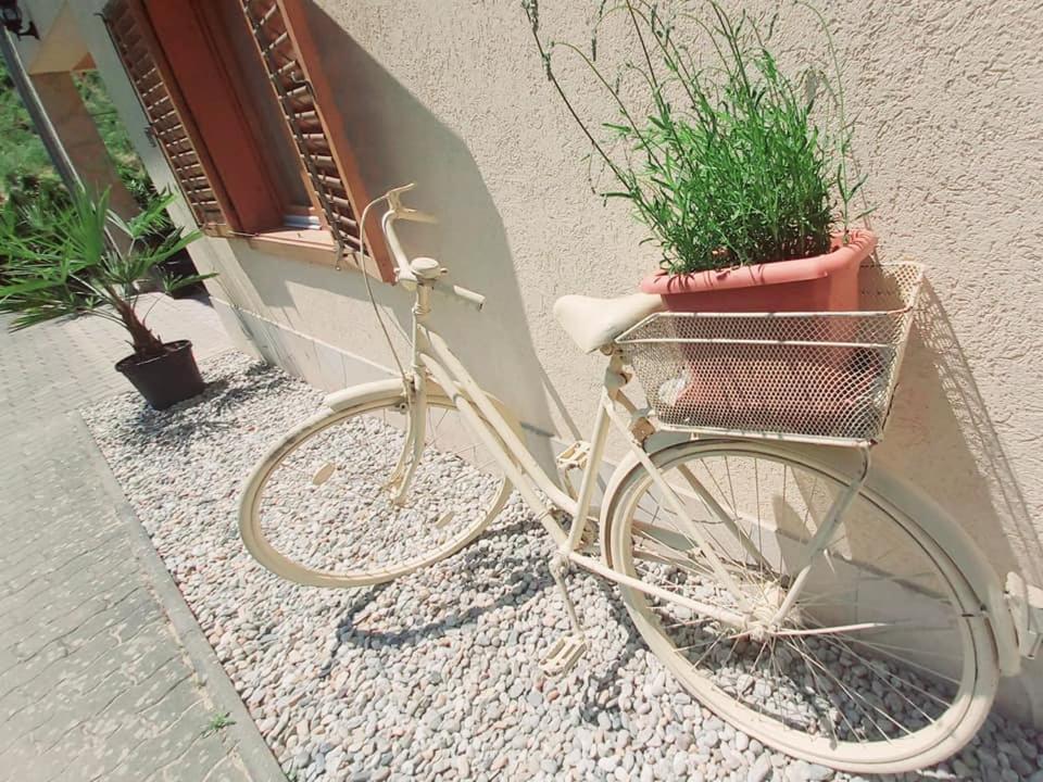Mediterran Apartman Zalakaros Zewnętrze zdjęcie